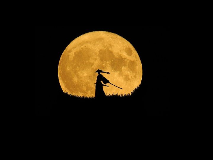 月夜の剣士