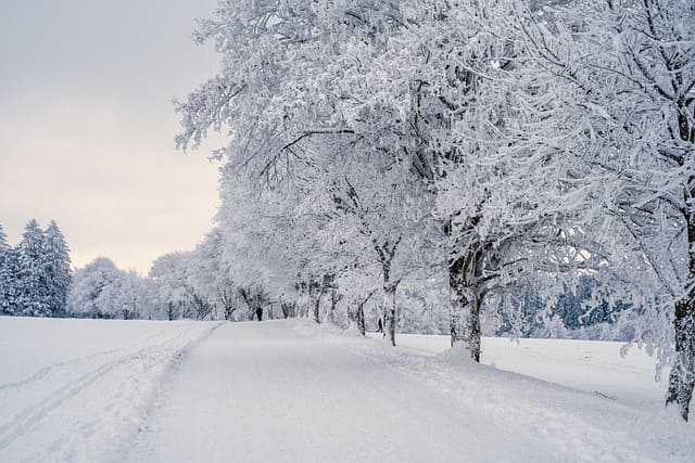 雪景色